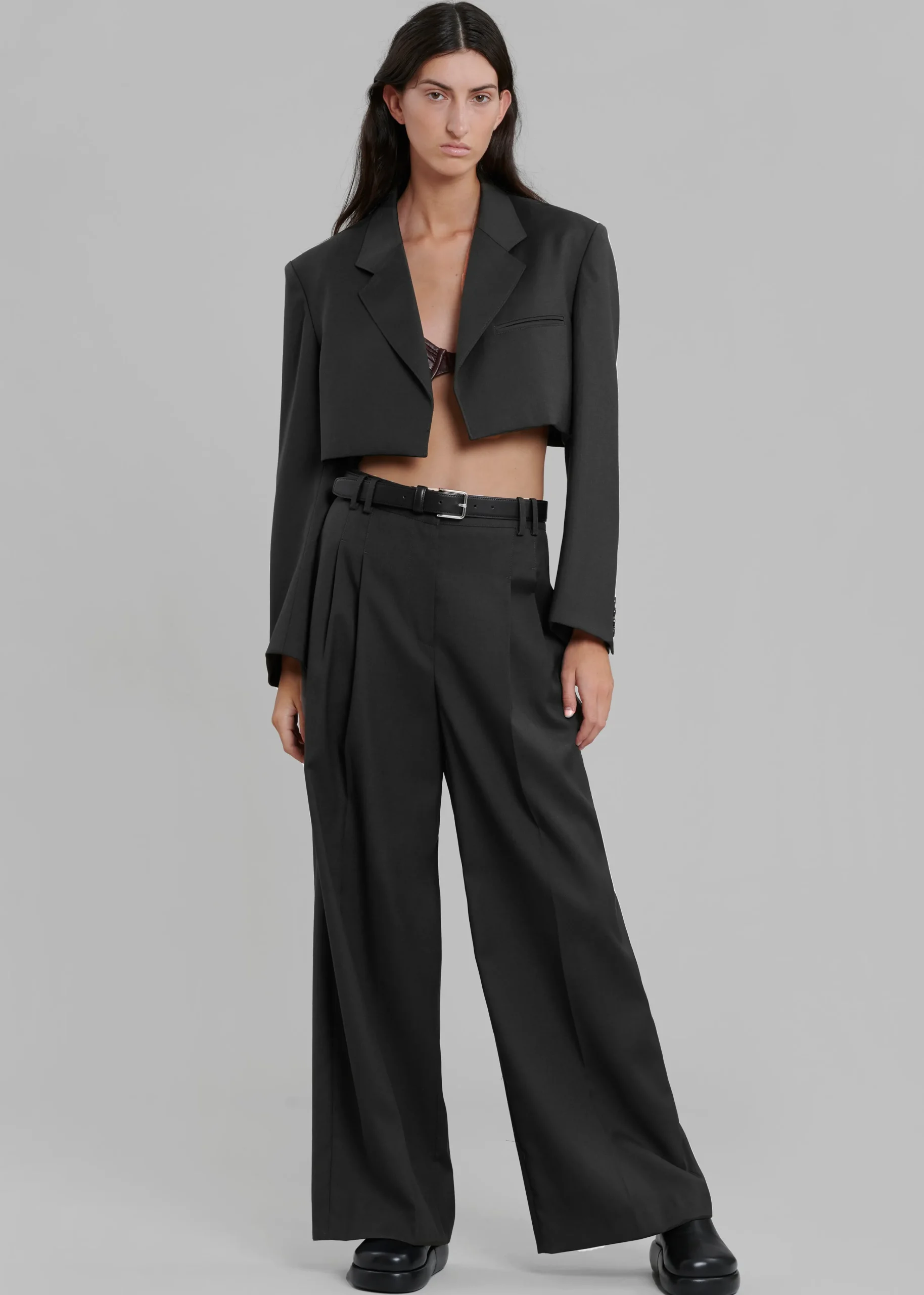 The Frankie Shop Glenn Wide Pants Black New